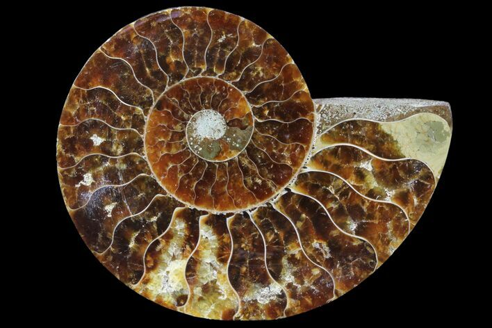 Agatized Ammonite Fossil (Half) - Madagascar #83834